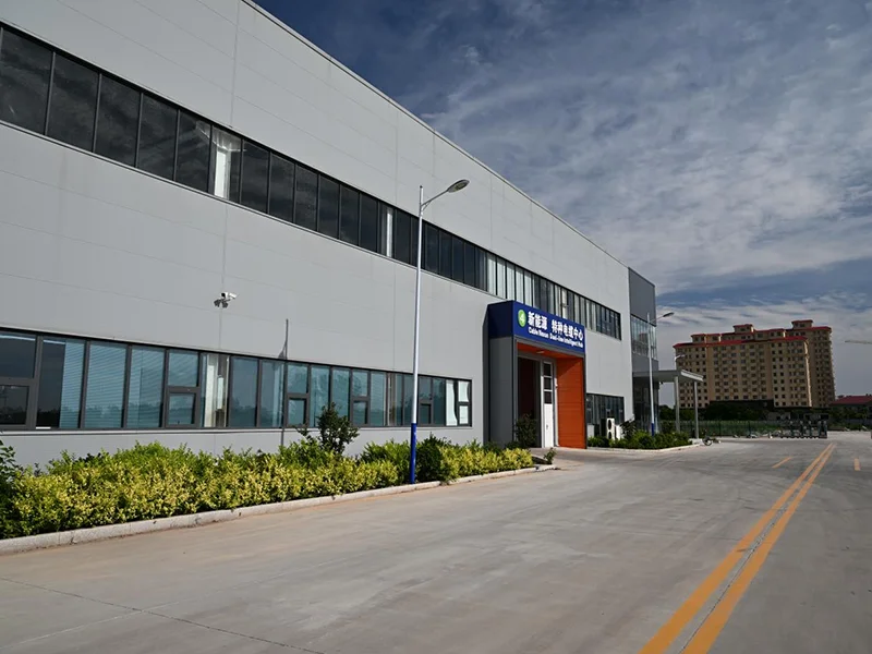 Company Profile